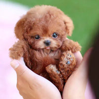 Davy | FurMotion Friend – Lifelike Plush Dog for Children & Collectors