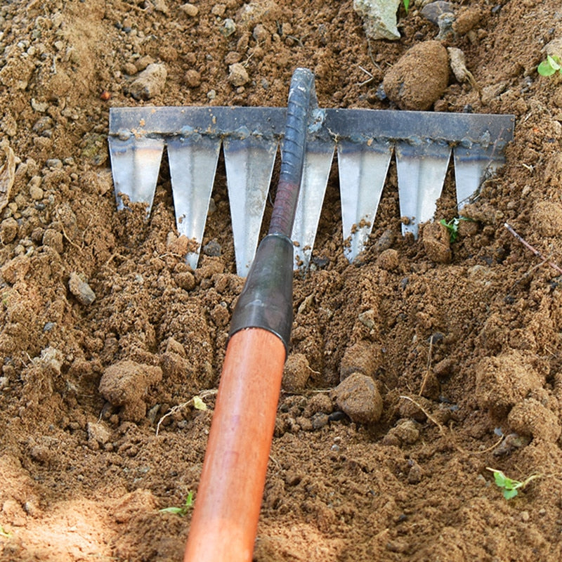 Davy | Garden Tool Rake with Sharp Teeth for Weeding