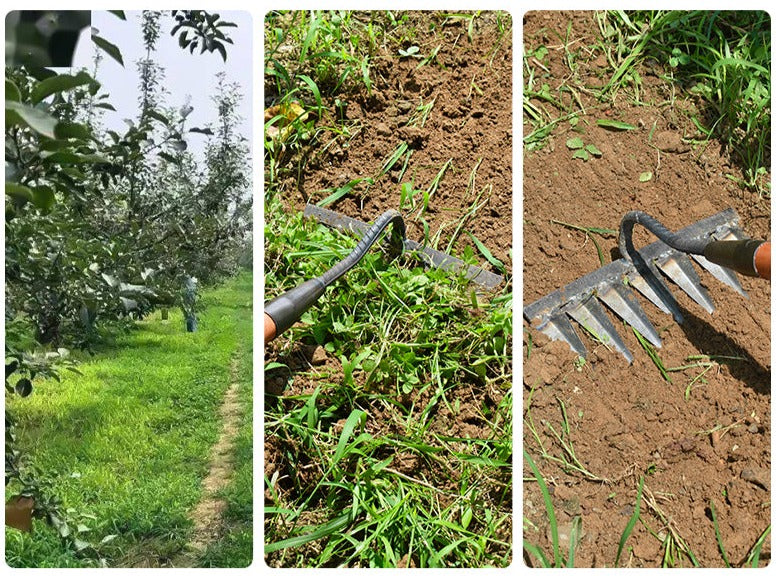 Davy | Garden Tool Rake with Sharp Teeth for Weeding