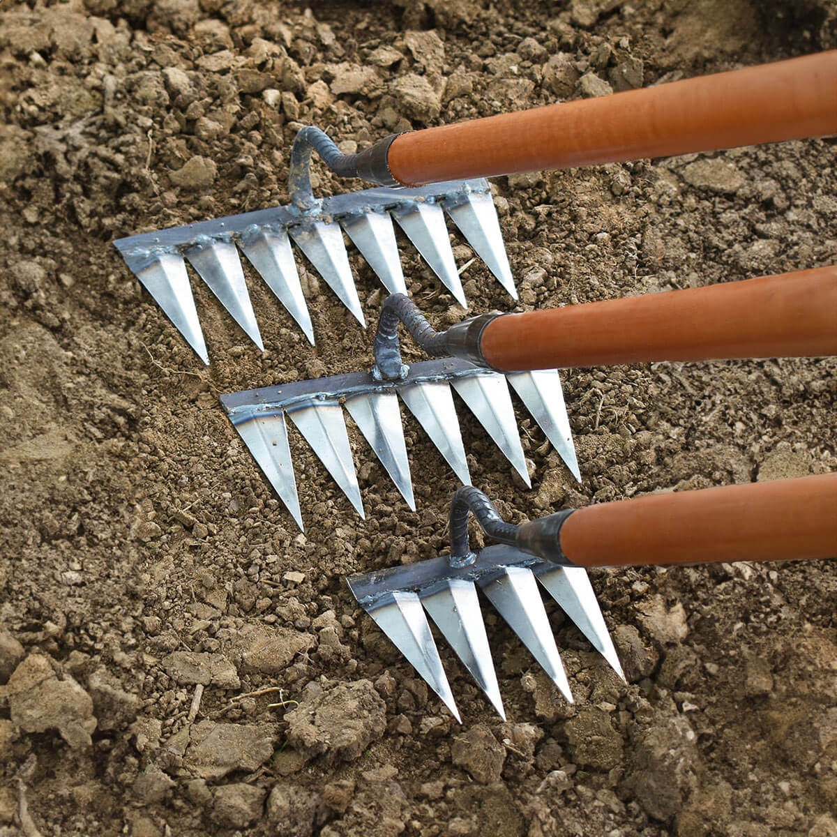 Davy | Garden Tool Rake with Sharp Teeth for Weeding