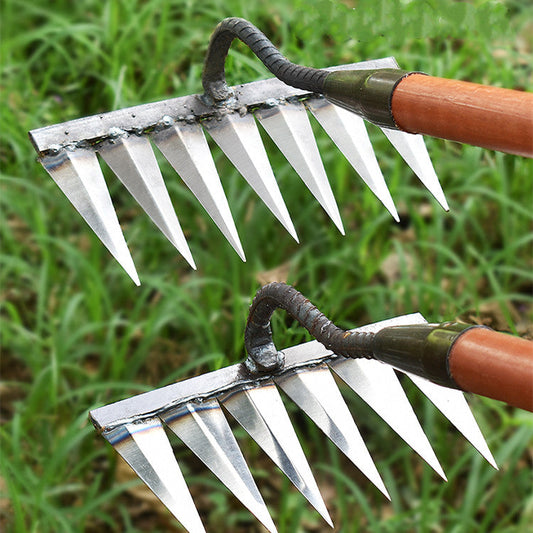 Davy | Garden Tool Rake with Sharp Teeth for Weeding