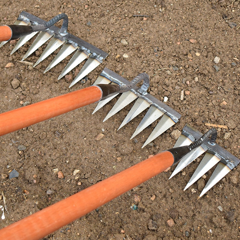 Davy | Garden Tool Rake with Sharp Teeth for Weeding