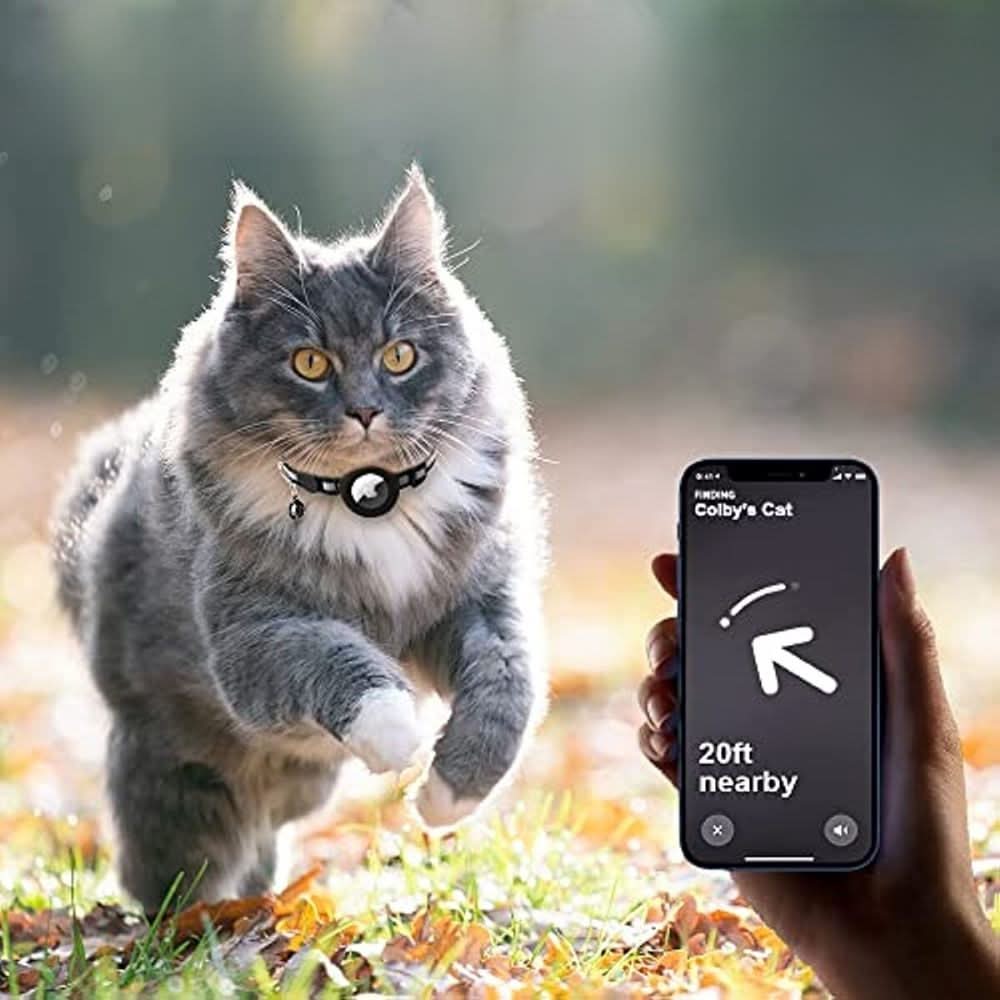 Davy | GPS Collar for Cats with Reflective Design