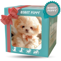 Davy | Jouet robot chiot interactif