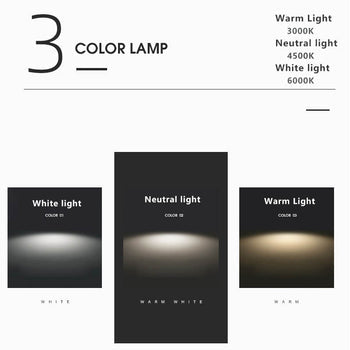 Davy | LED Ceiling Light | Integrated LED with Color Temperature Selection