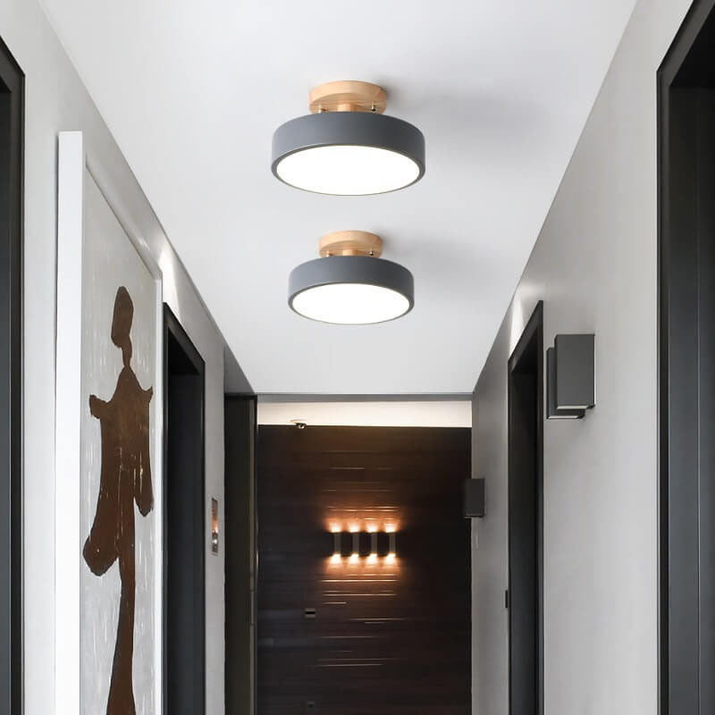 Davy | LED Ceiling Light | Integrated LED with Color Temperature Selection