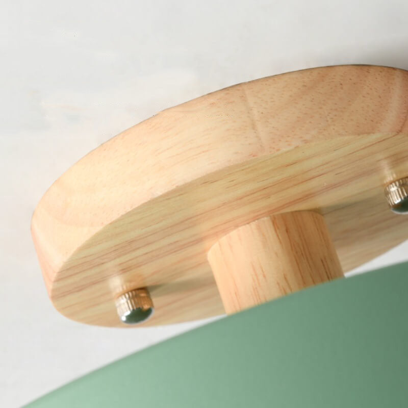 Davy | LED Ceiling Light | Integrated LED with Color Temperature Selection