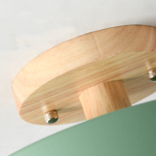 Davy LED Round Ceiling Lamp | Nordic Design | Semi-Flush Mounting | Economic Indoor Lighting