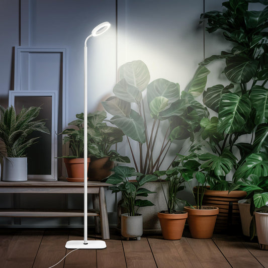 Davy | Mistyjungle Growth Light For Indoor Plants, Floor Full Spectrum Plant Light With Stand, Large Grow Lights With Automatic Timer, 60 Inches Height Adjustable, 10 Level Dimmable, White Halo LED Grow Lamp