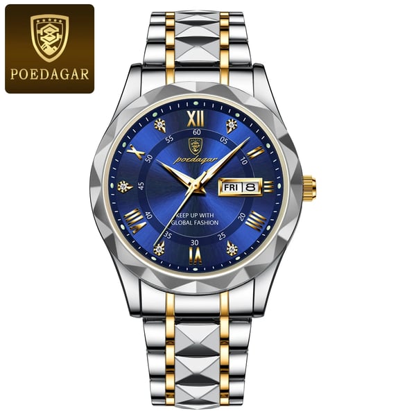 Davy Model 615 | Luxury Men's Watch | Japanese MIYOTA Quartz Movement | 316L Stainless Steel Case | Hardlex Crystal Glass | 3 ATM Waterproof | Luminescent Indices & Date