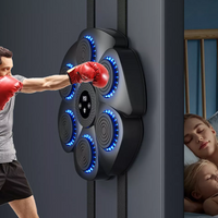 Davy | Music Boxing Machine | Interactive Training | RGB & Bluetooth