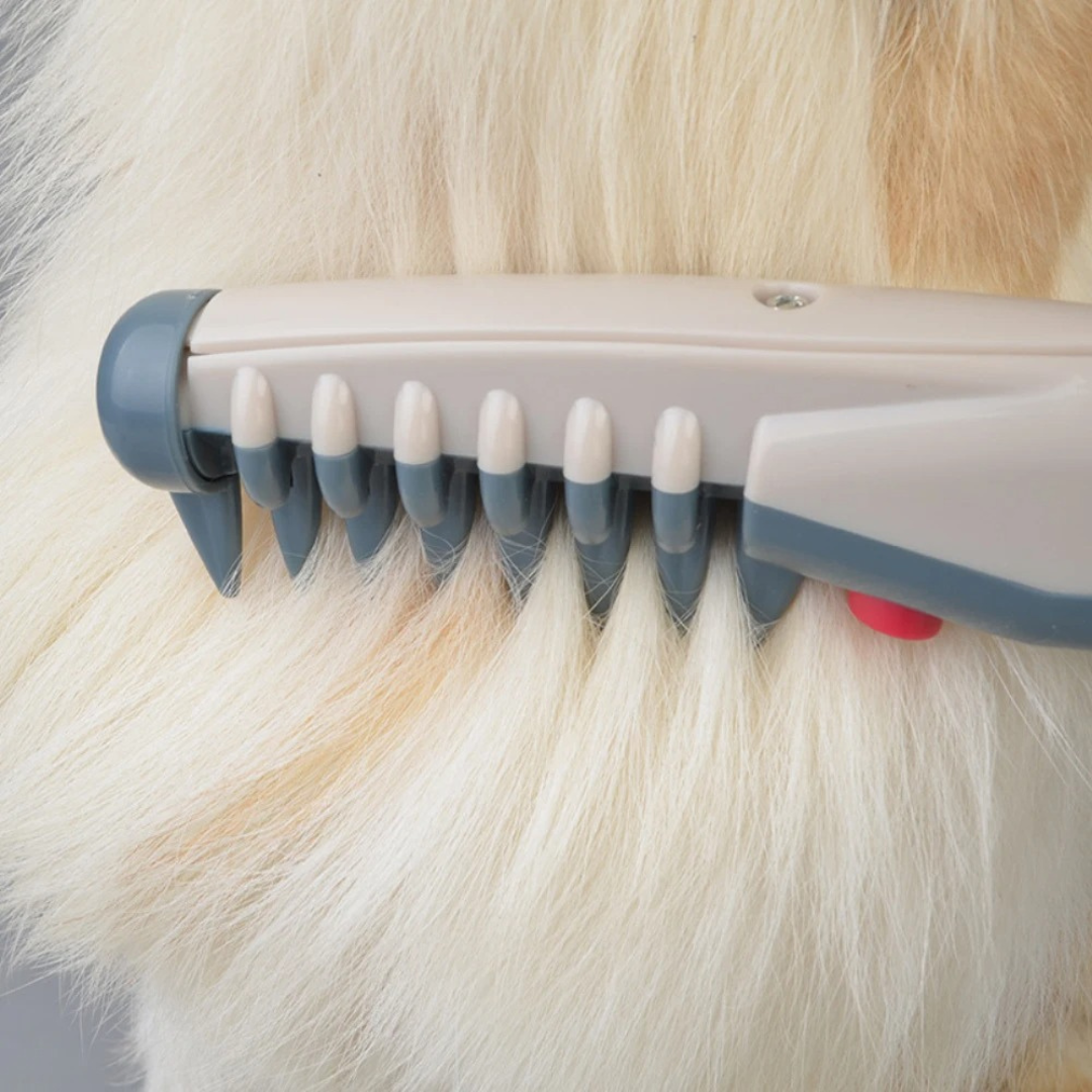 Davy | No more knots and tangles for your pet