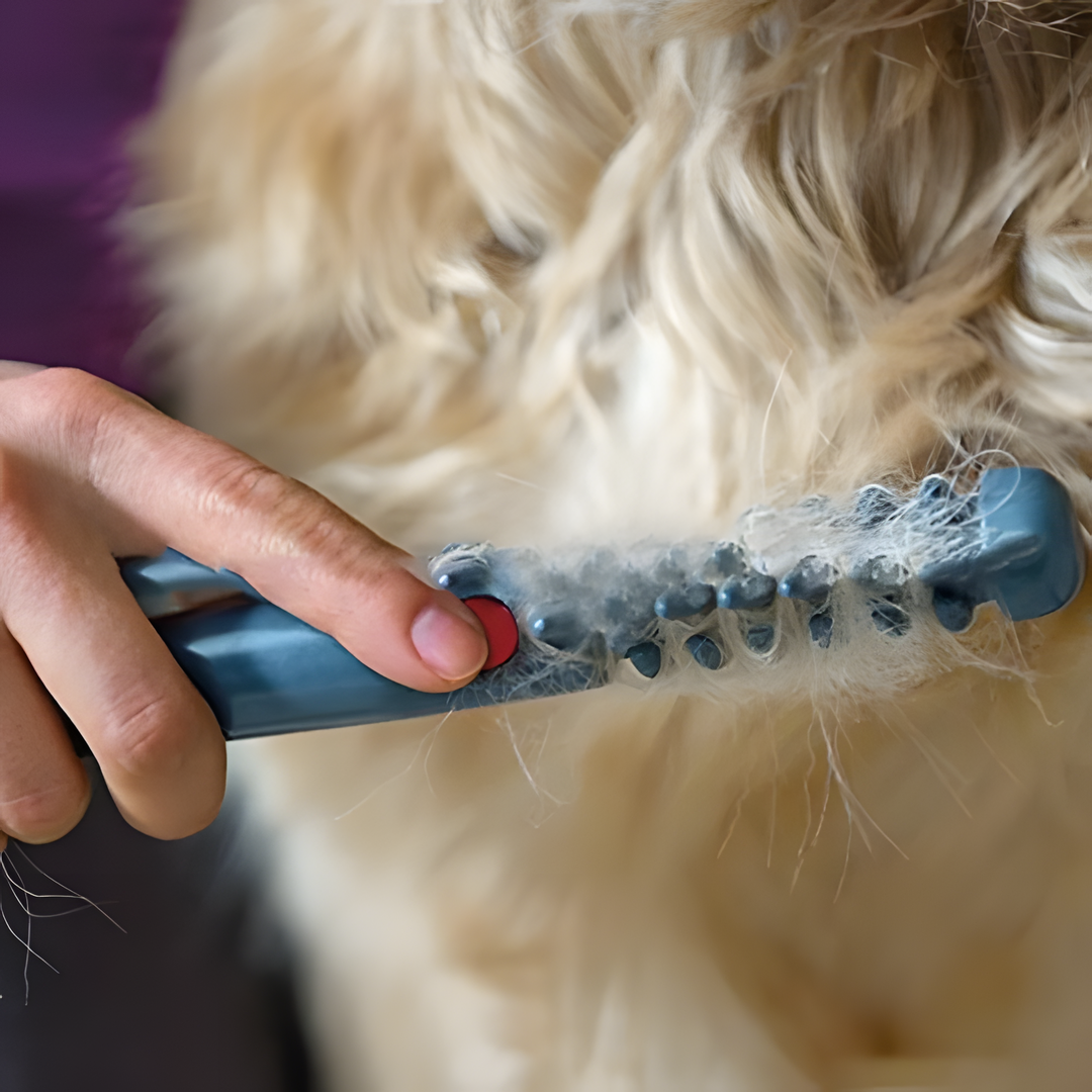 Davy | No More Knots & Tangles Pet Comb