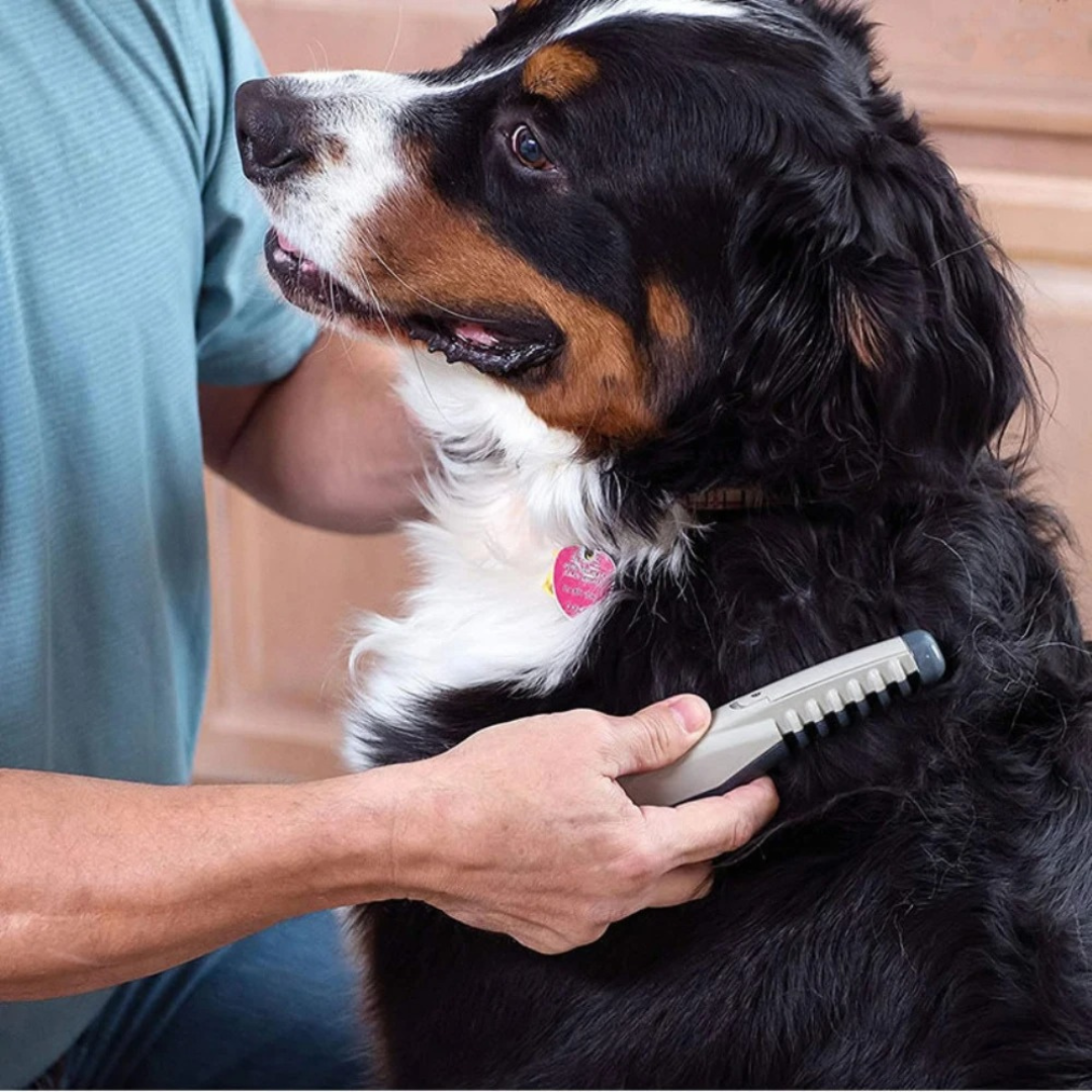 Davy | No More Knots & Tangles Pet Comb