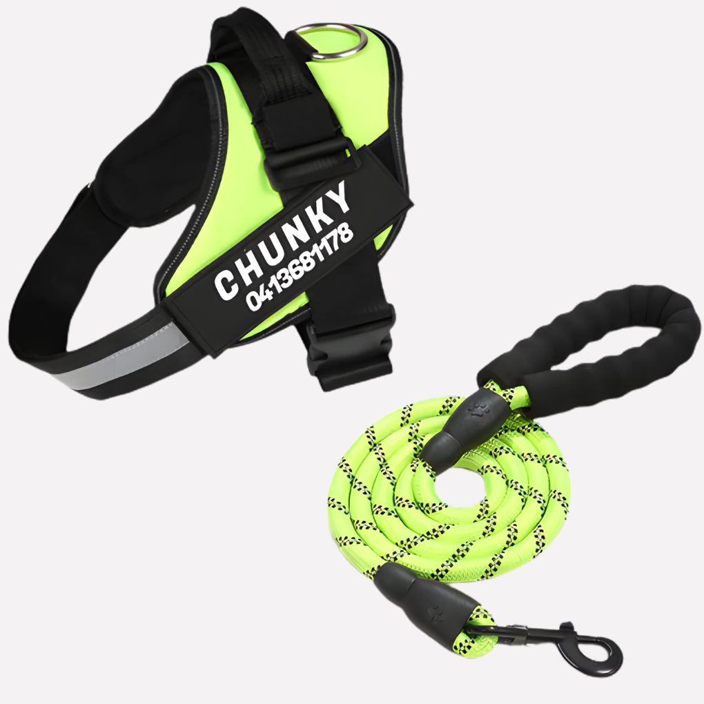 Davy | Personalized Dog Harness for No-Pull