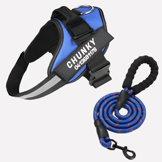 Davy | Personalized Dog Harness for No-Pull