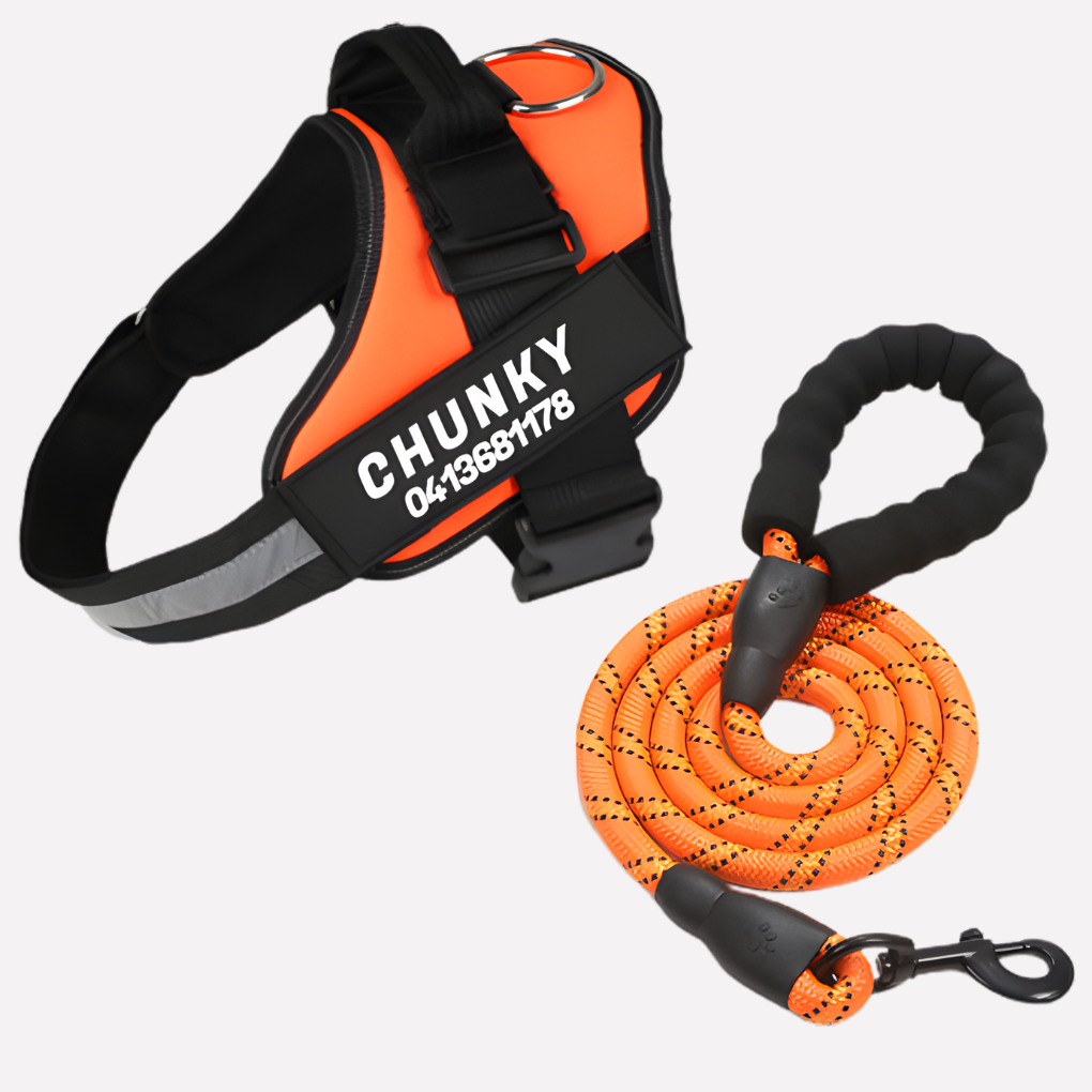 Davy | Personalized Front-Clip Dog Harness for No-Pull Walking