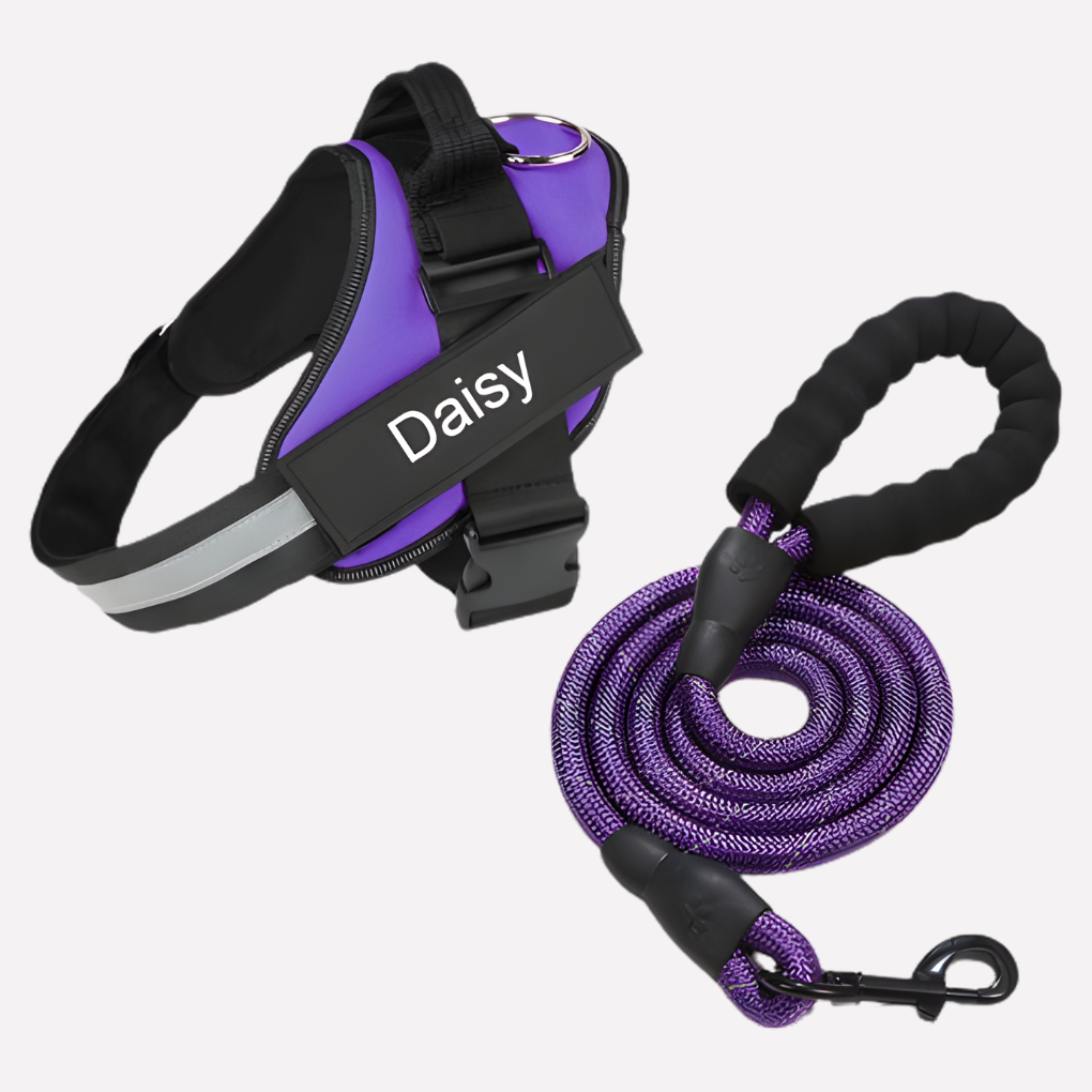 Davy | Personalized Front-Clip Dog Harness for No-Pull Walking