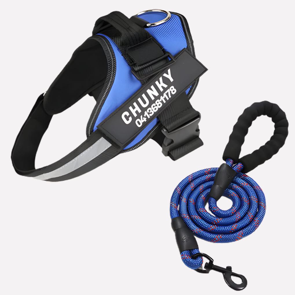 Davy | Personalized Front-Clip Dog Harness for No-Pull Walking