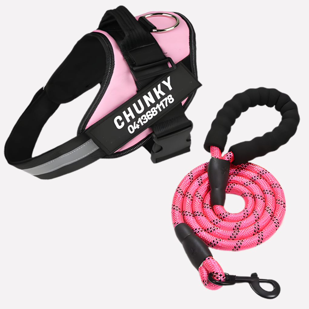 Davy | Personalized Front-Clip Dog Harness for No-Pull Walking