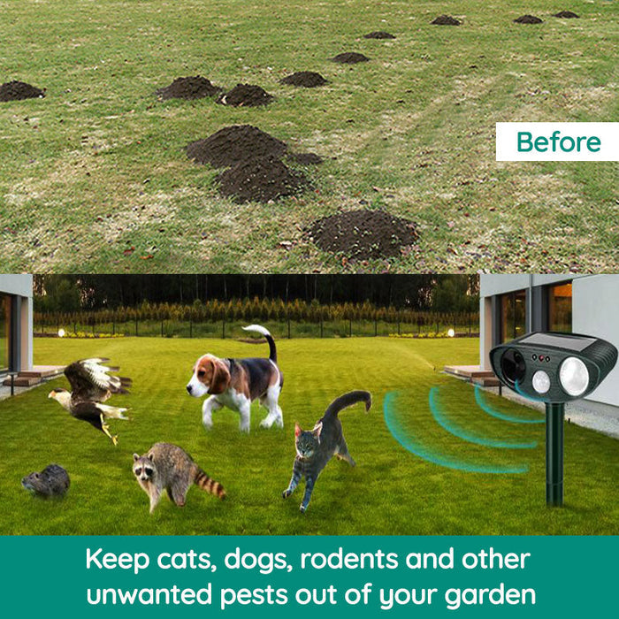 Davy | Raccoon Outdoor Ultrasonic Repeller - Solar-Powered Ultrasonic Animal and Pest Repellent - Get Rid of Raccoons Within 48 Hours