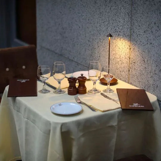 Davy | Rechargeable LED Table Lamp Wireless Waterproof