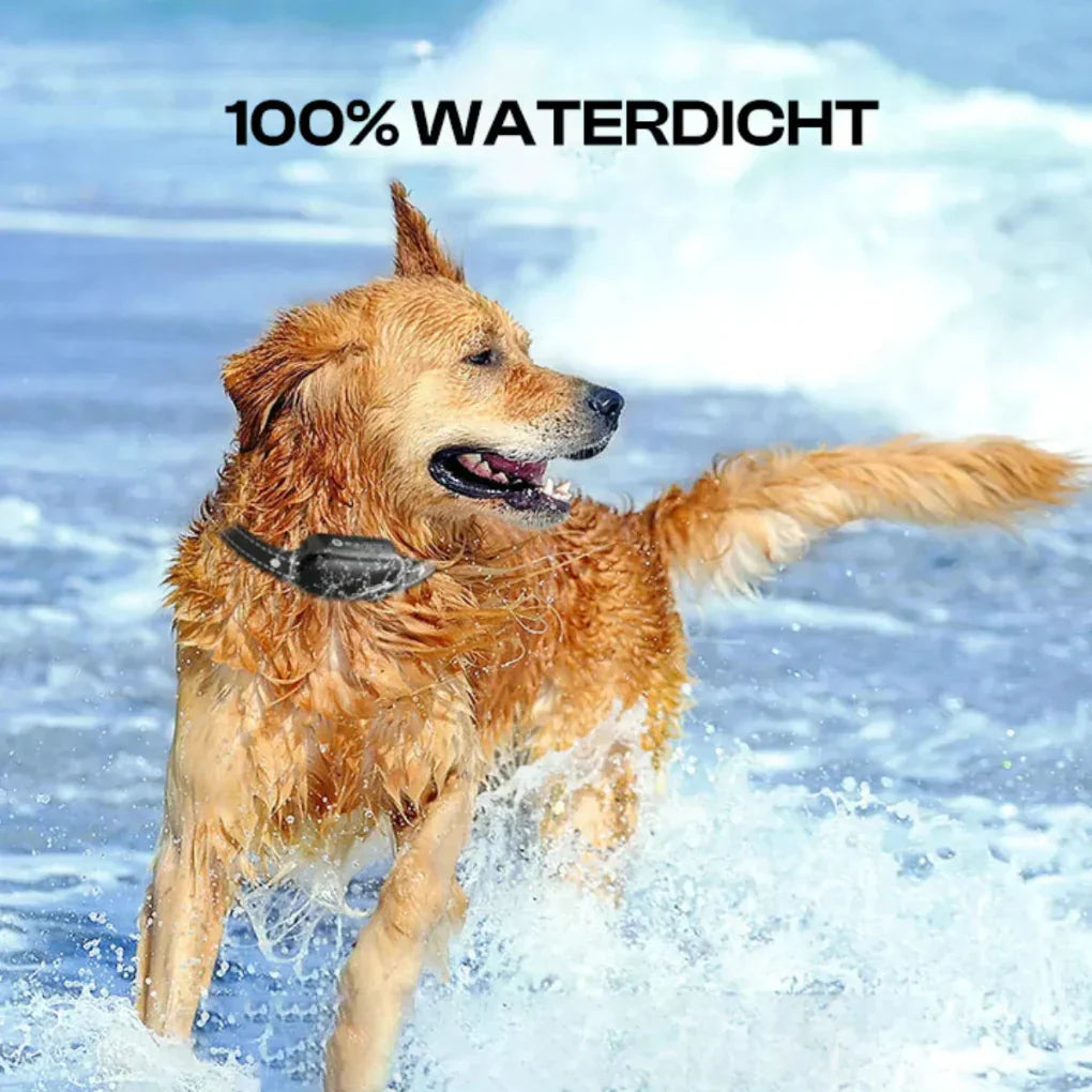 Davy | Remote Dog Training Collar - Long Range Waterproof