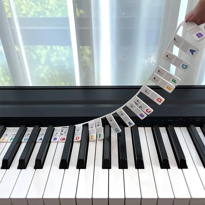 Davy | Removable Piano Keyboard Note Labels