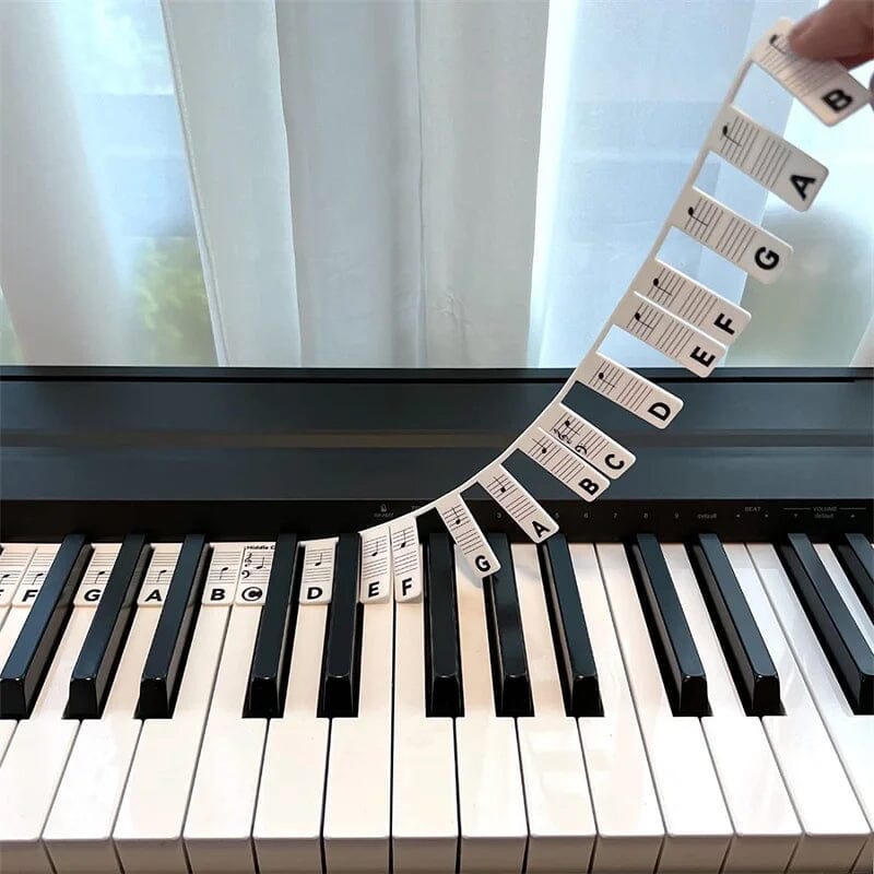 Davy | Removable Piano Keyboard Note Labels