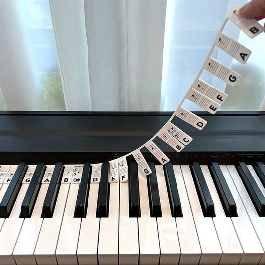 Davy | Removable Piano Keyboard Note Labels