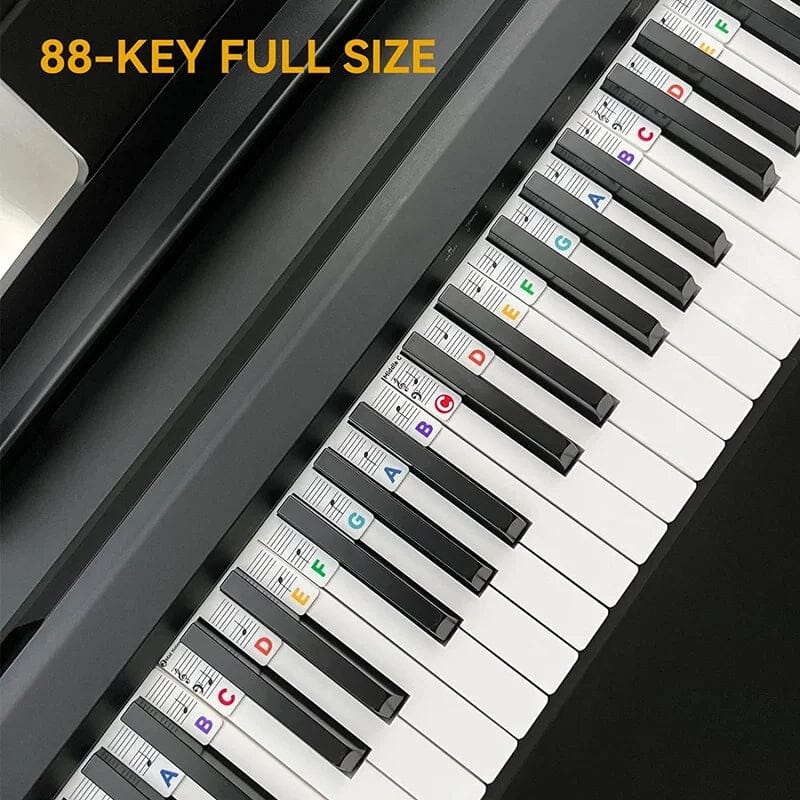 Davy | Removable Piano Keyboard Note Labels