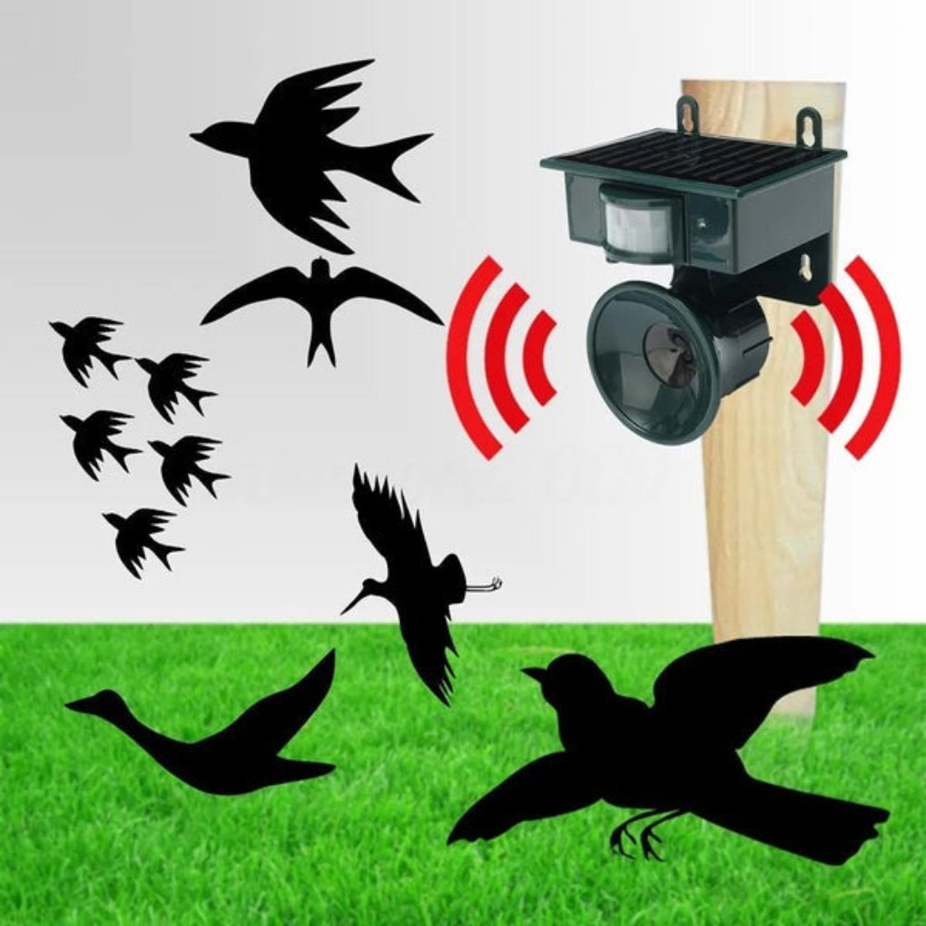Davy | Solar Motion Sensor Bird Repeller for Gardens