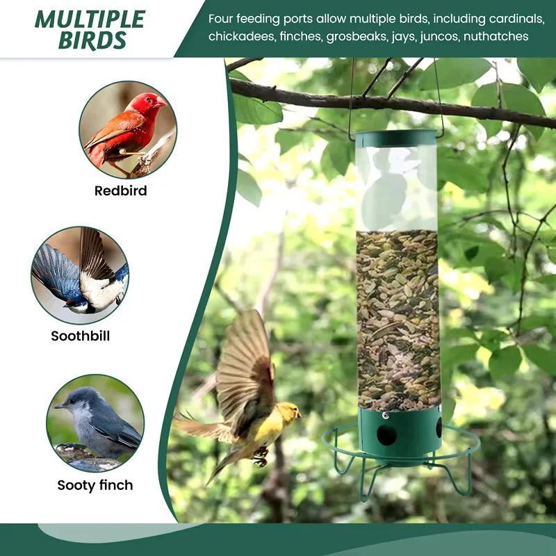 Davy | Squirrel Proof Bird Feeder with Multiple Feeding Ports