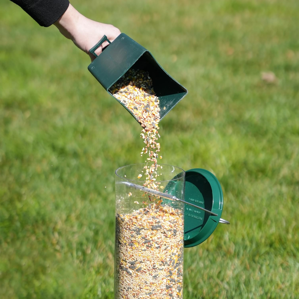 Davy | Squirrel Proof Bird Feeder with Multiple Feeding Ports