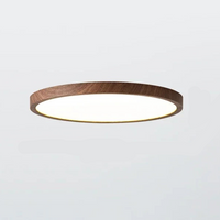Davy | Lámpara de Techo Circular Delgada | Luz LED Ajustable, Moderna | Sala y Dormitorio