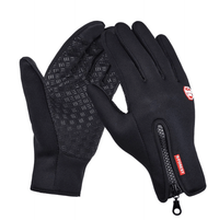 Davy | waterproof and windproof gloves