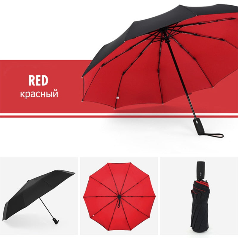 Davy | Windproof Storm Umbrella