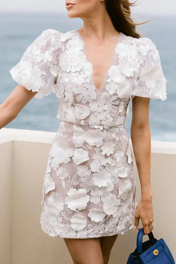 Davy | Women's Embroidered Mini Dress