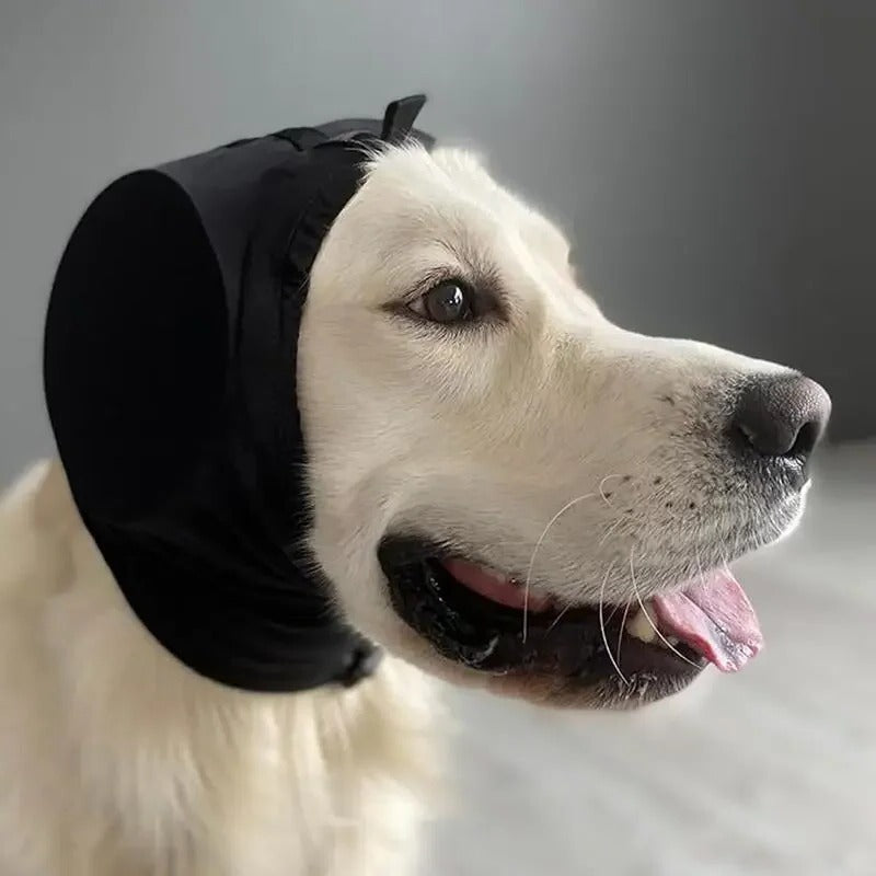 Protection auditive pour chien - Réduction du bruit, réglable