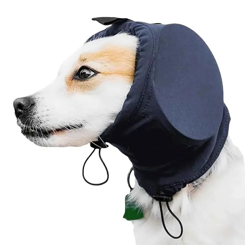 Protection auditive pour chien - Réduction du bruit, réglable