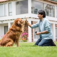 Entrenador Ultrasónico para Perros y Control de Ladridos