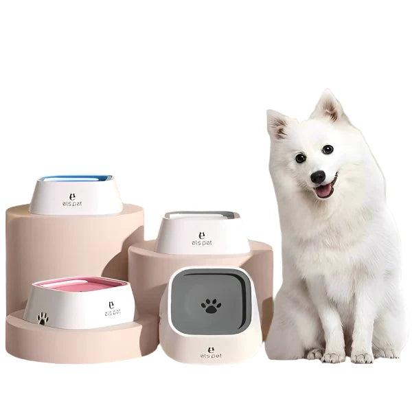 Dog Water Bowl