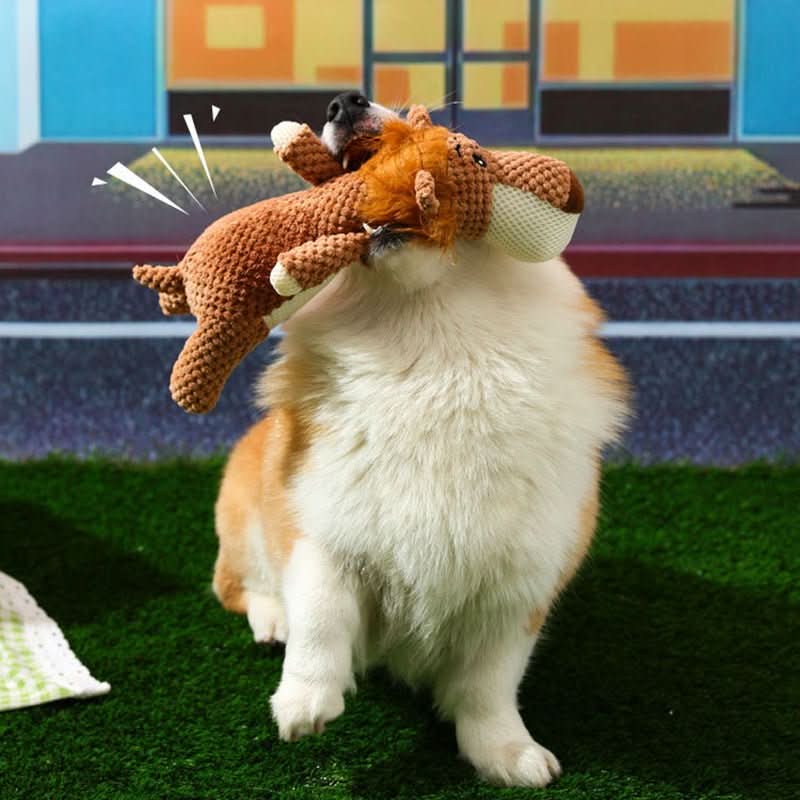 HARDPAW TOY – Durable Chew Toy for Small & Large Dogs