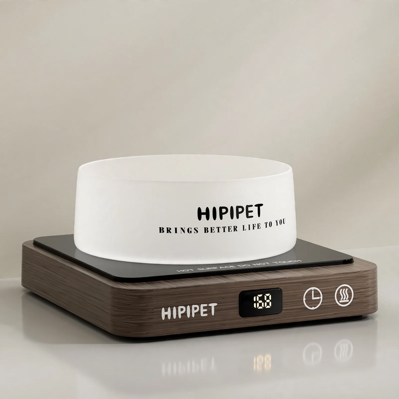 Heated Glass Pet Bowl with Wooden Base