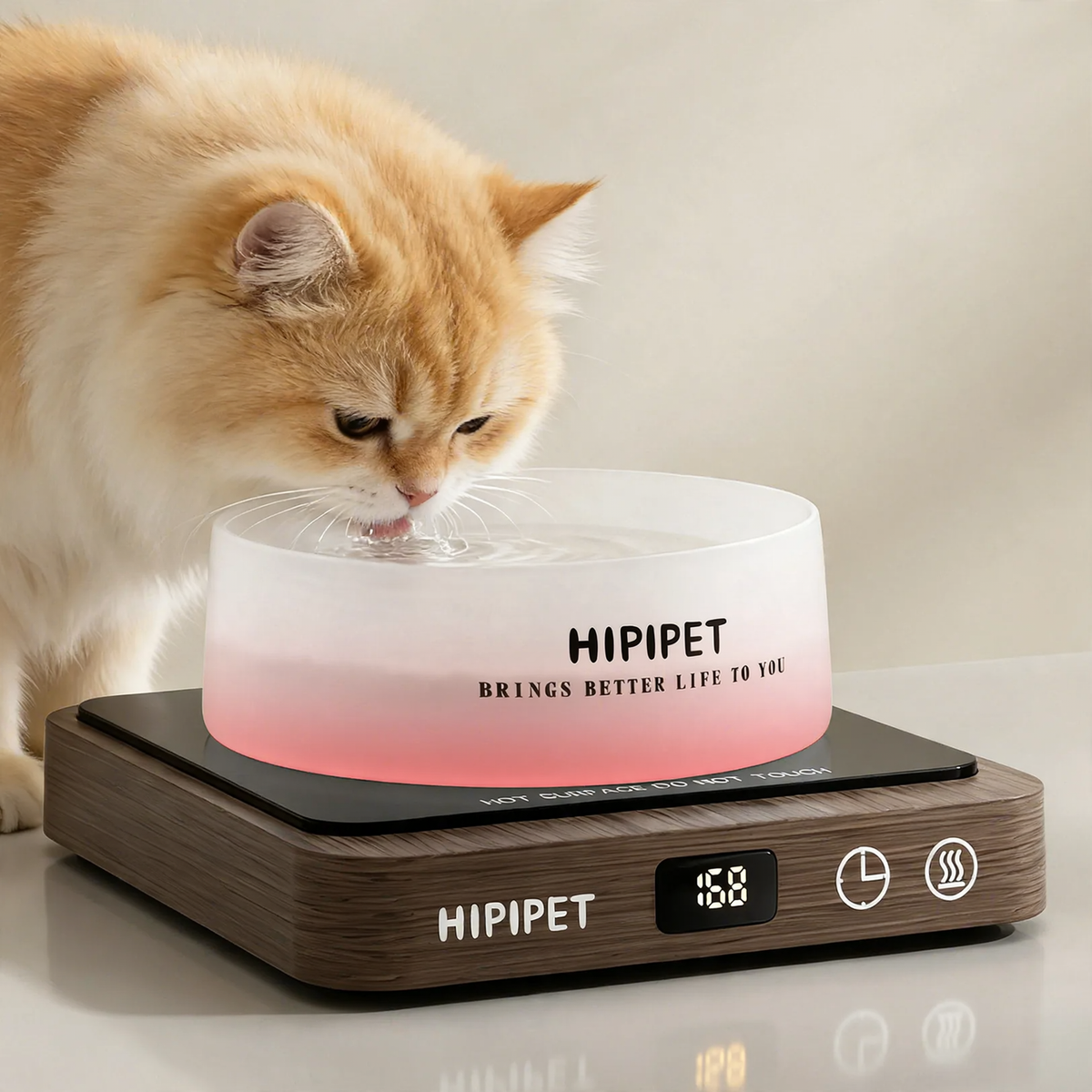 Heated Glass Pet Bowl with Wooden Base
