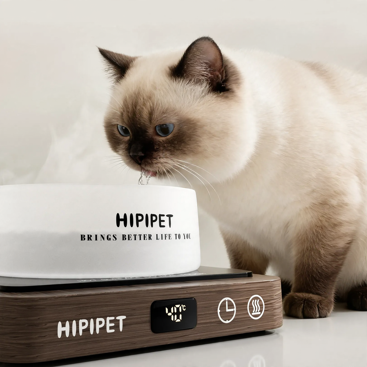 Heated Glass Pet Bowl with Wooden Base