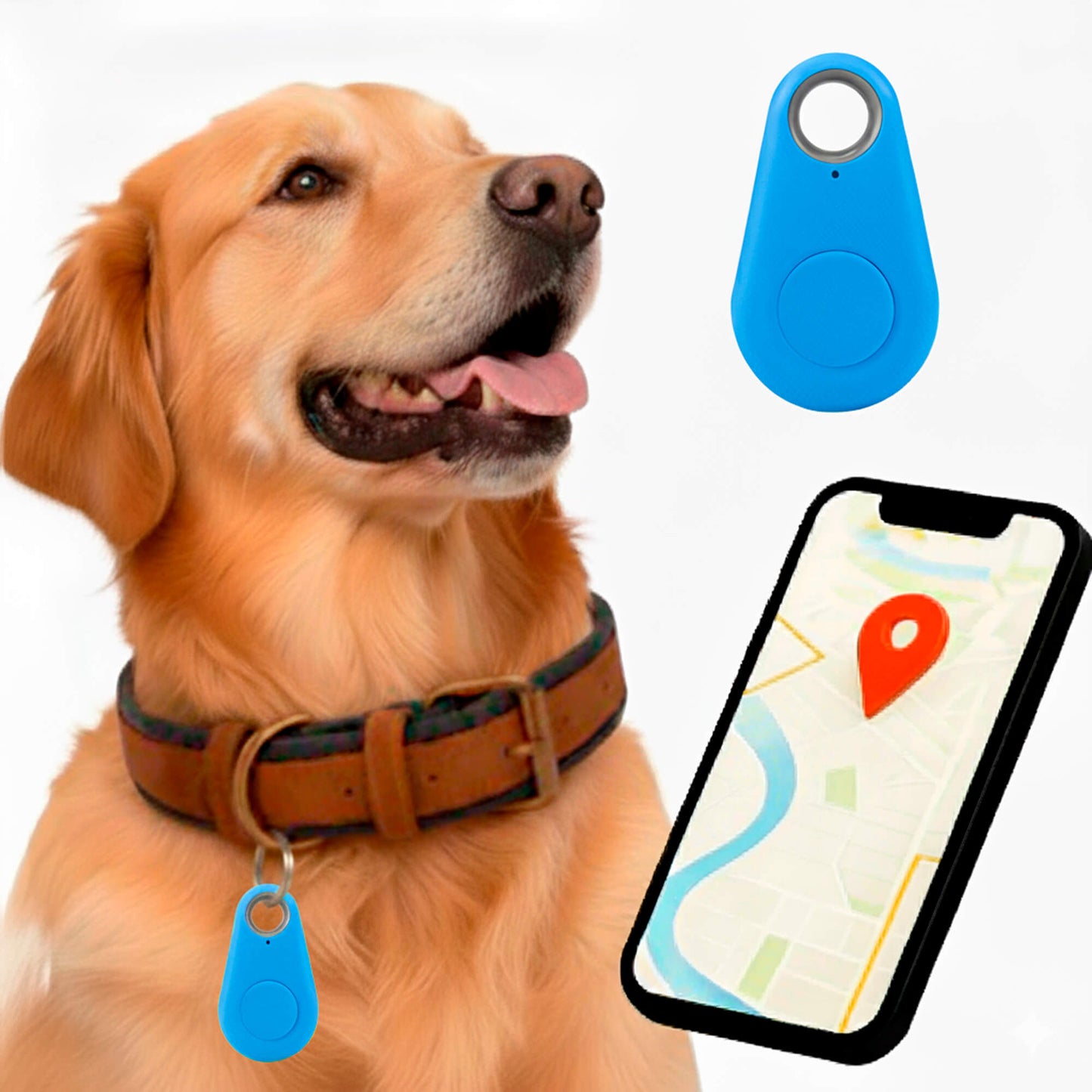 Kirra GPS Dog Tracker, Waterproof, Real-Time Alerts
