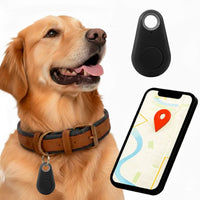 Rastreador GPS para Perros Kirra, Impermeable, Alertas en Tiempo Real