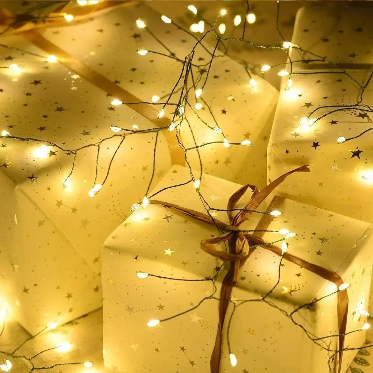 Guirlande lumineuse à LED en grappes avec télécommande et 8 modes