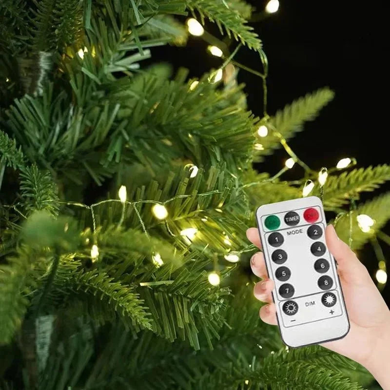 Guirlande lumineuse à LED en grappes avec télécommande et 8 modes